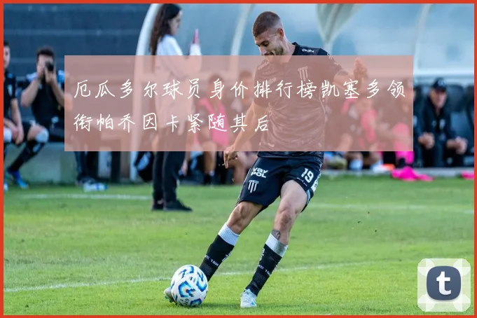 厄瓜多尔球员身价排行榜凯塞多领衔帕乔因卡紧随其后